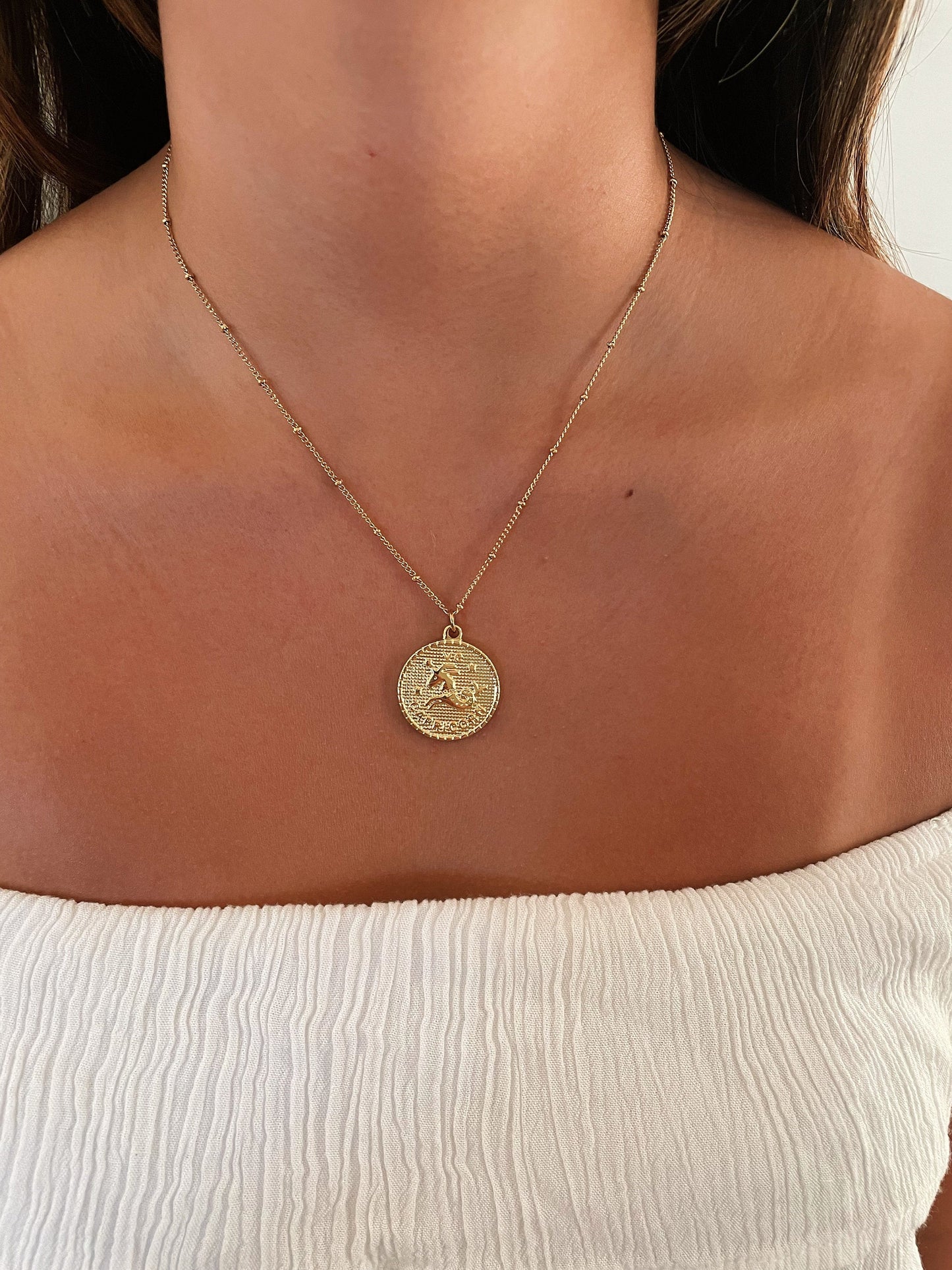 Zodiac Coin Stainless Steel Necklace, Horoscope Necklace, Zodiac Sign Jewelry, 12 Constellation Gold Coin Pendants, Birthday Gift for Her