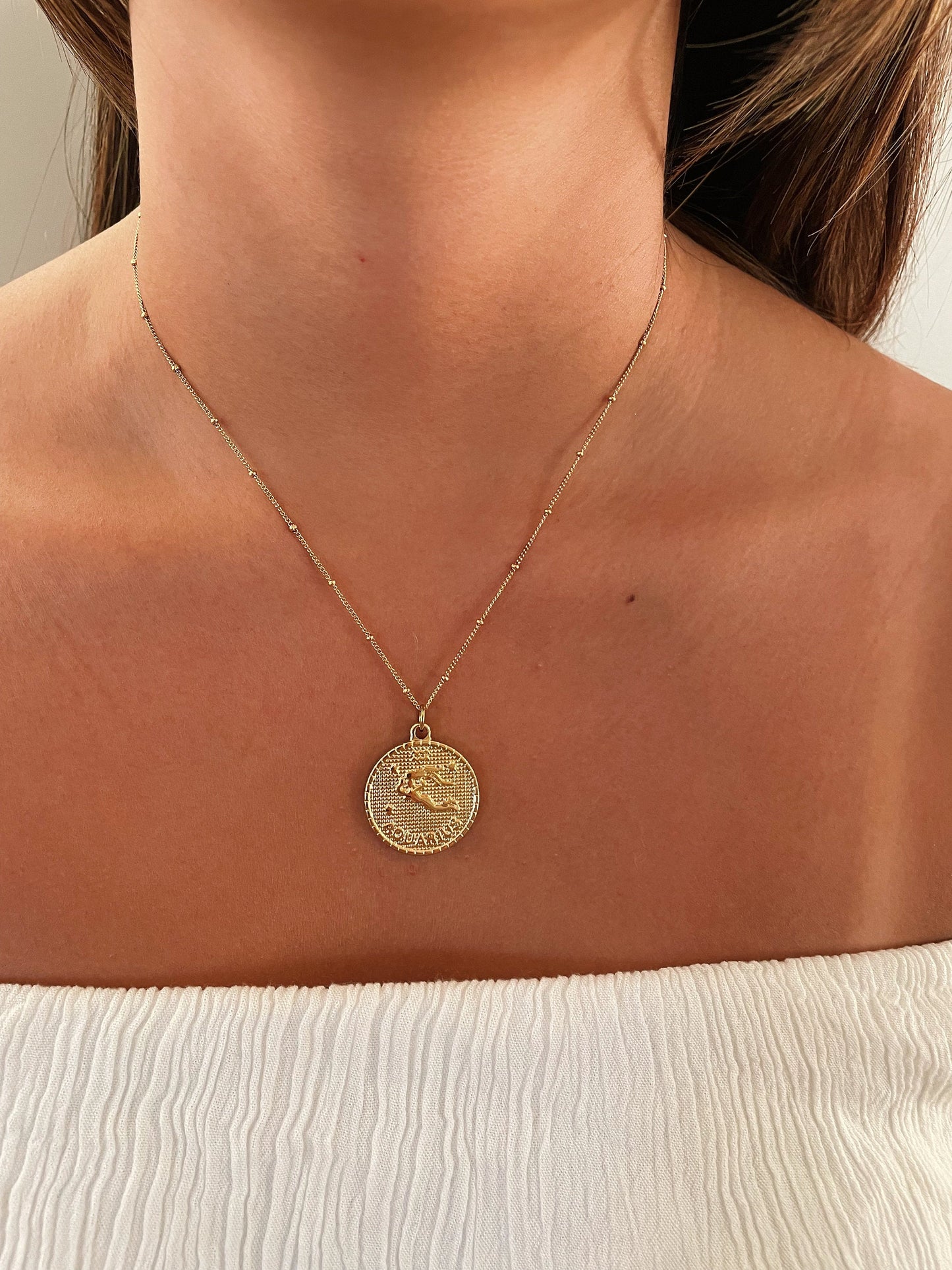 Zodiac Coin Stainless Steel Necklace, Horoscope Necklace, Zodiac Sign Jewelry, 12 Constellation Gold Coin Pendants, Birthday Gift for Her