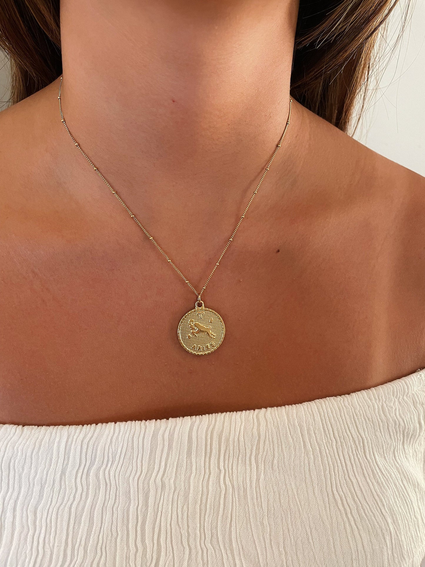 Zodiac Coin Stainless Steel Necklace, Horoscope Necklace, Zodiac Sign Jewelry, 12 Constellation Gold Coin Pendants, Birthday Gift for Her