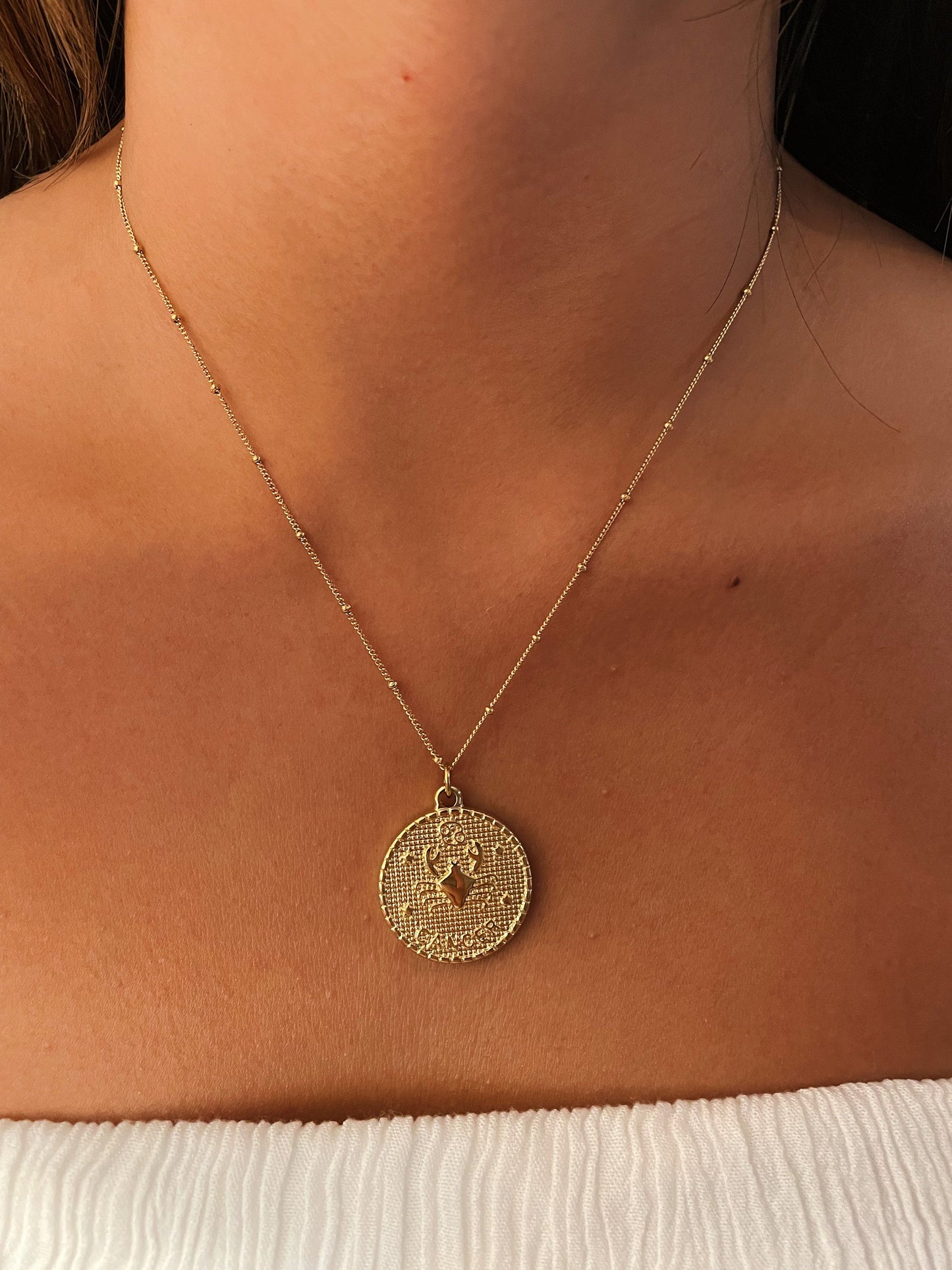 Zodiac Coin Stainless Steel Necklace, Horoscope Necklace, Zodiac Sign Jewelry, 12 Constellation Gold Coin Pendants, Birthday Gift for Her