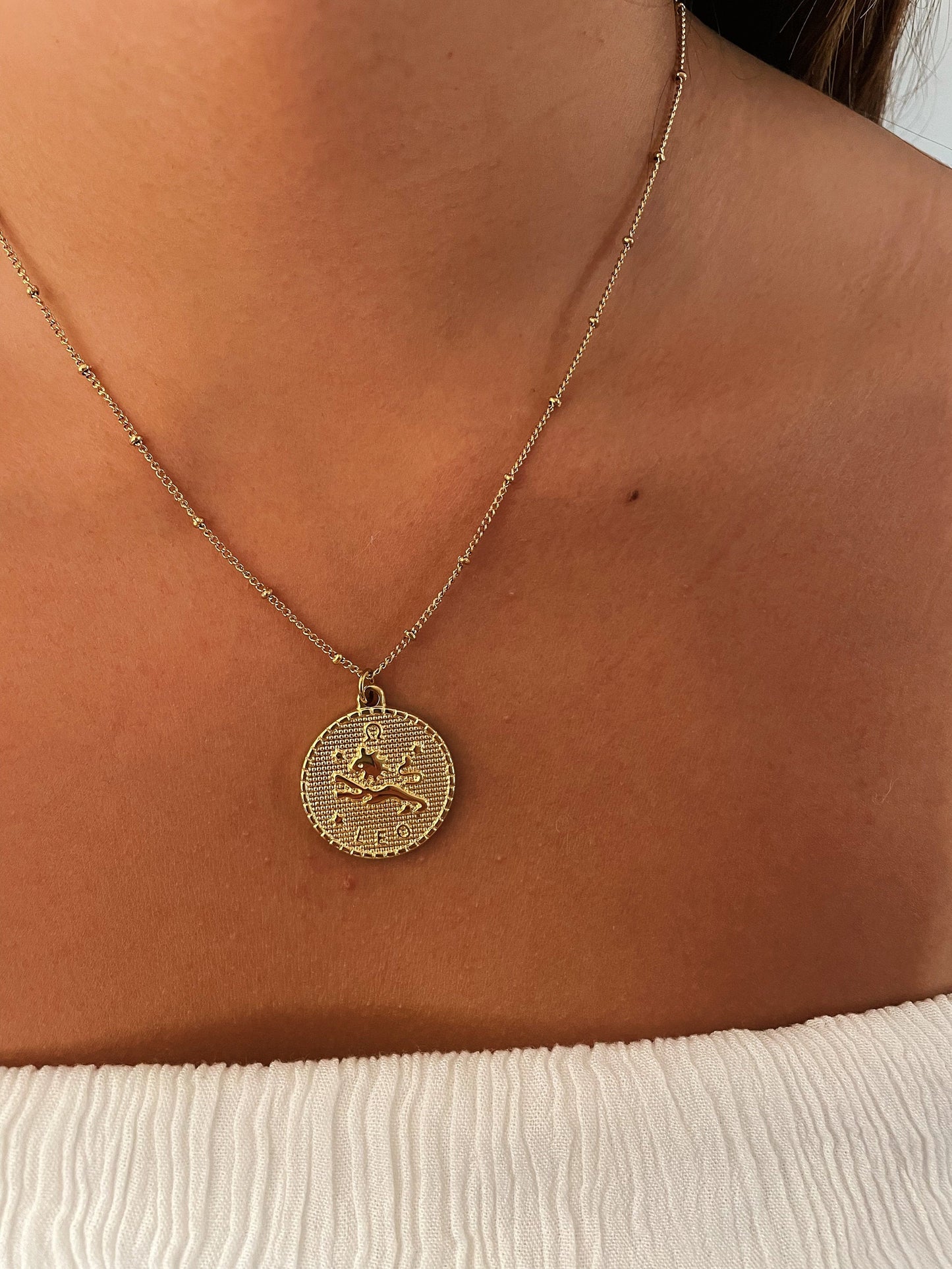 Zodiac Coin Stainless Steel Necklace, Horoscope Necklace, Zodiac Sign Jewelry, 12 Constellation Gold Coin Pendants, Birthday Gift for Her