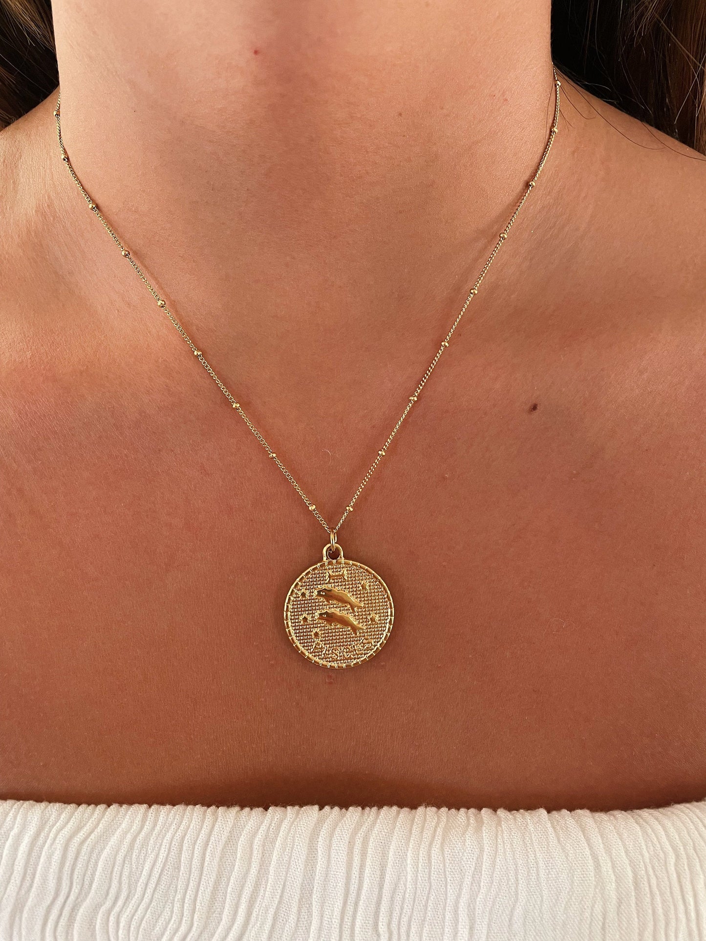 Zodiac Coin Stainless Steel Necklace, Horoscope Necklace, Zodiac Sign Jewelry, 12 Constellation Gold Coin Pendants, Birthday Gift for Her